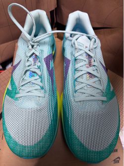 $100 OFF RETAIL NIKE Terra Trail Running Shoes   RETAIL $170+