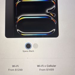 iPad Pro 13-inch (M4) Plus Case 