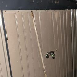 Shed