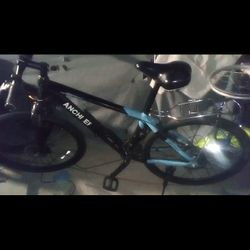 Electric Bike.