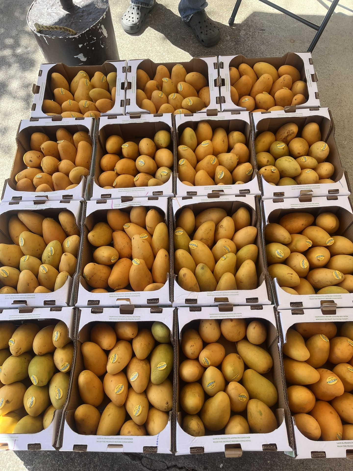 SWEET MANILA MANGOES $10. 16 Mangoes In Box