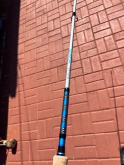 Quantum Strive 7’0 rod