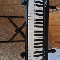 Music Instrument (See Price In The Description)