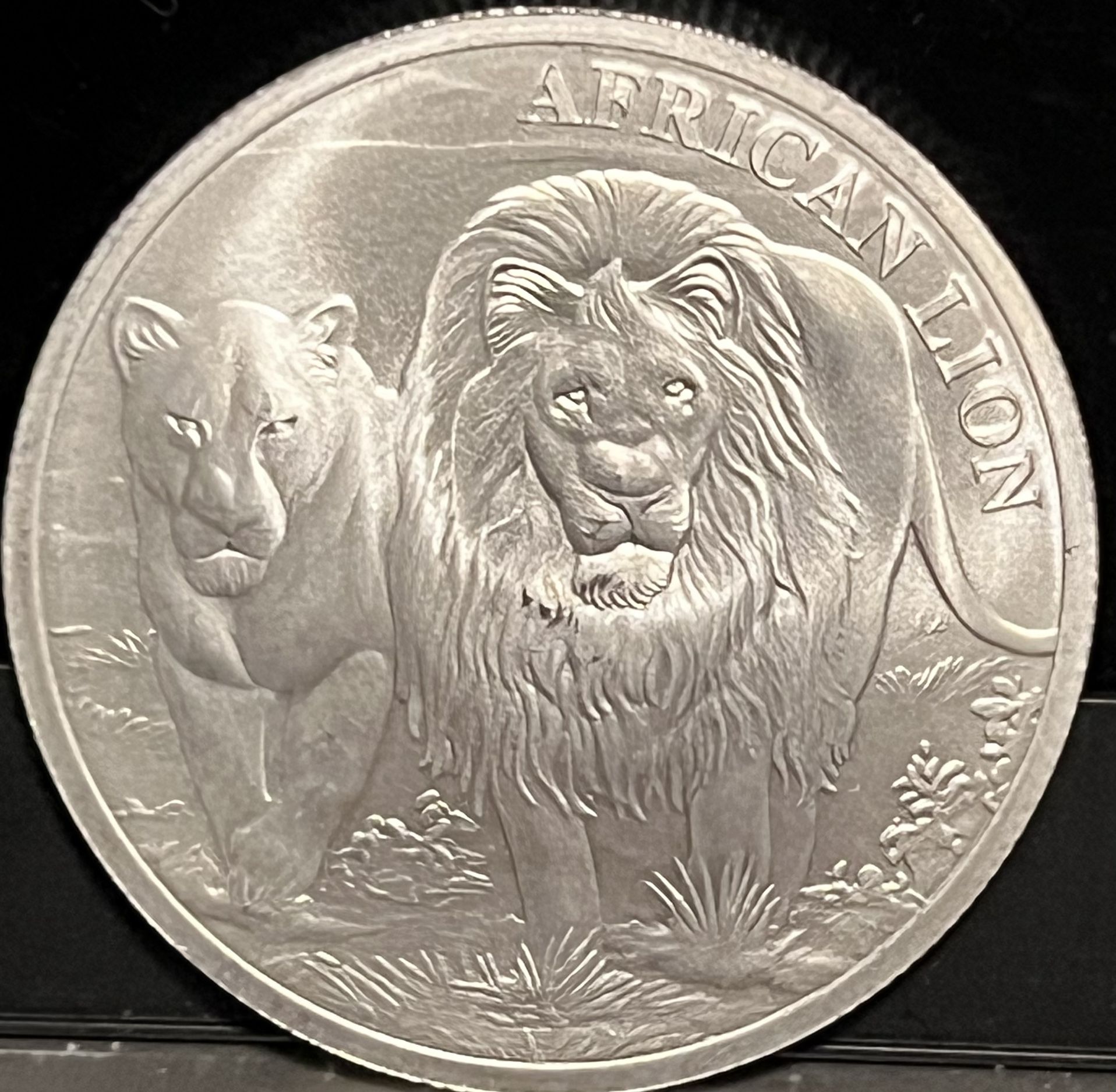 2016 Republic of Congo 5000 Francs Coin • African Lion • 1 oz Pure Silver Round (.999 Fine) • Brilliant Uncirculated Bullion