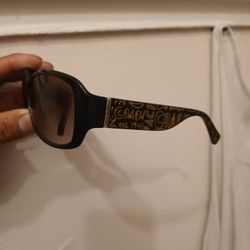 Sunglasses 