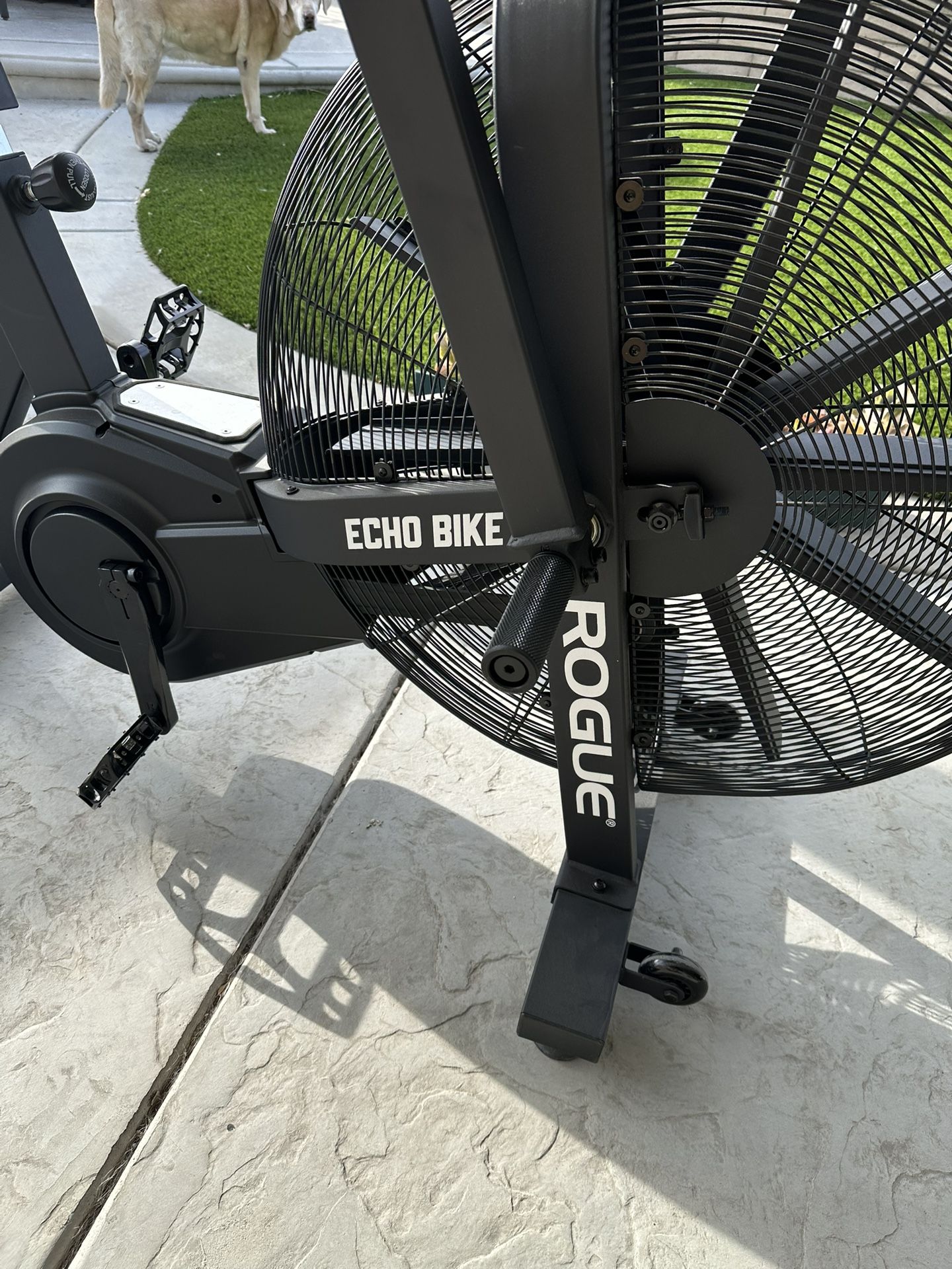 Rogue Echo Bike (Excellent Condition)—$650 cash only. Firm.