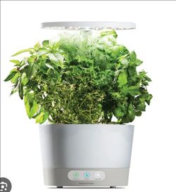 Aerogarden harvest 360
