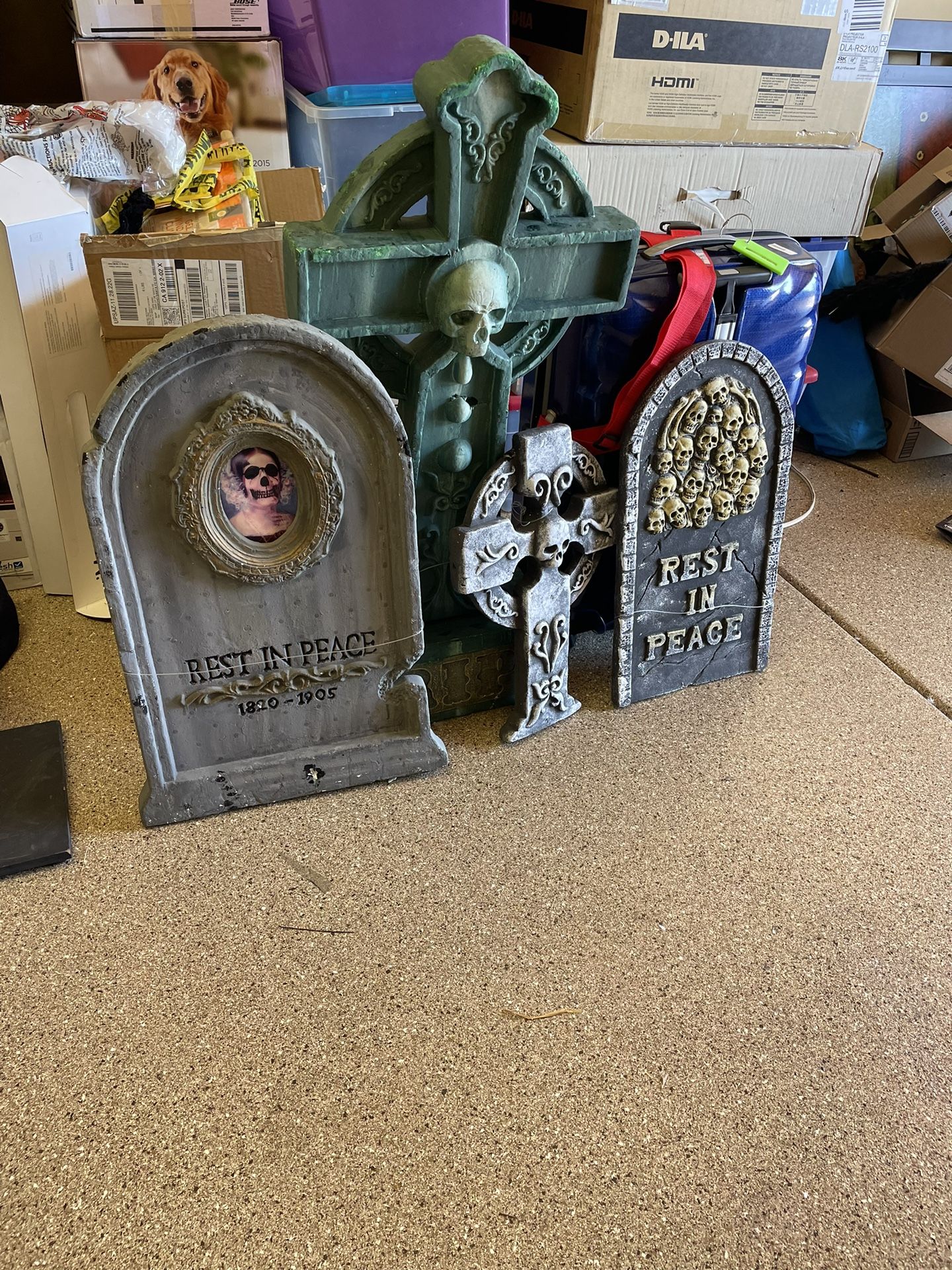 Halloween Decorations & More