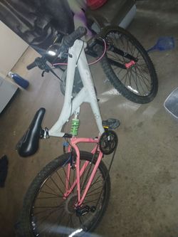 Mountain bike