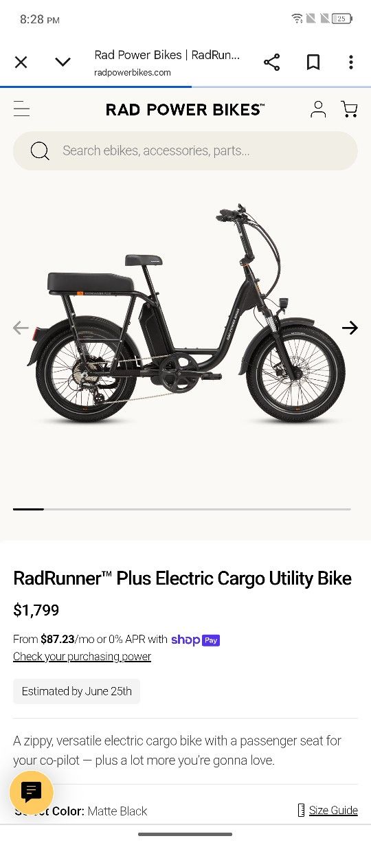 RadRunnerâ„¢ Plus Electric Cargo Utility Bike