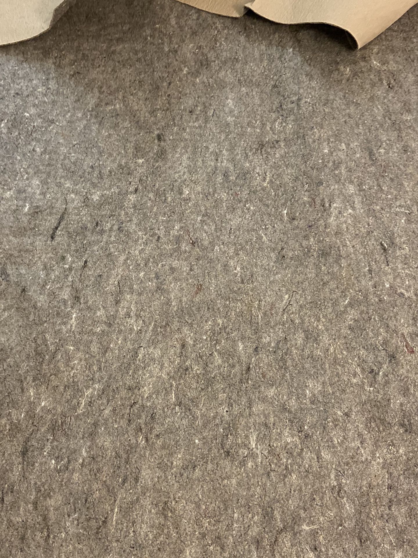 Hard Floor Anti Slip Carpet 96 X 120