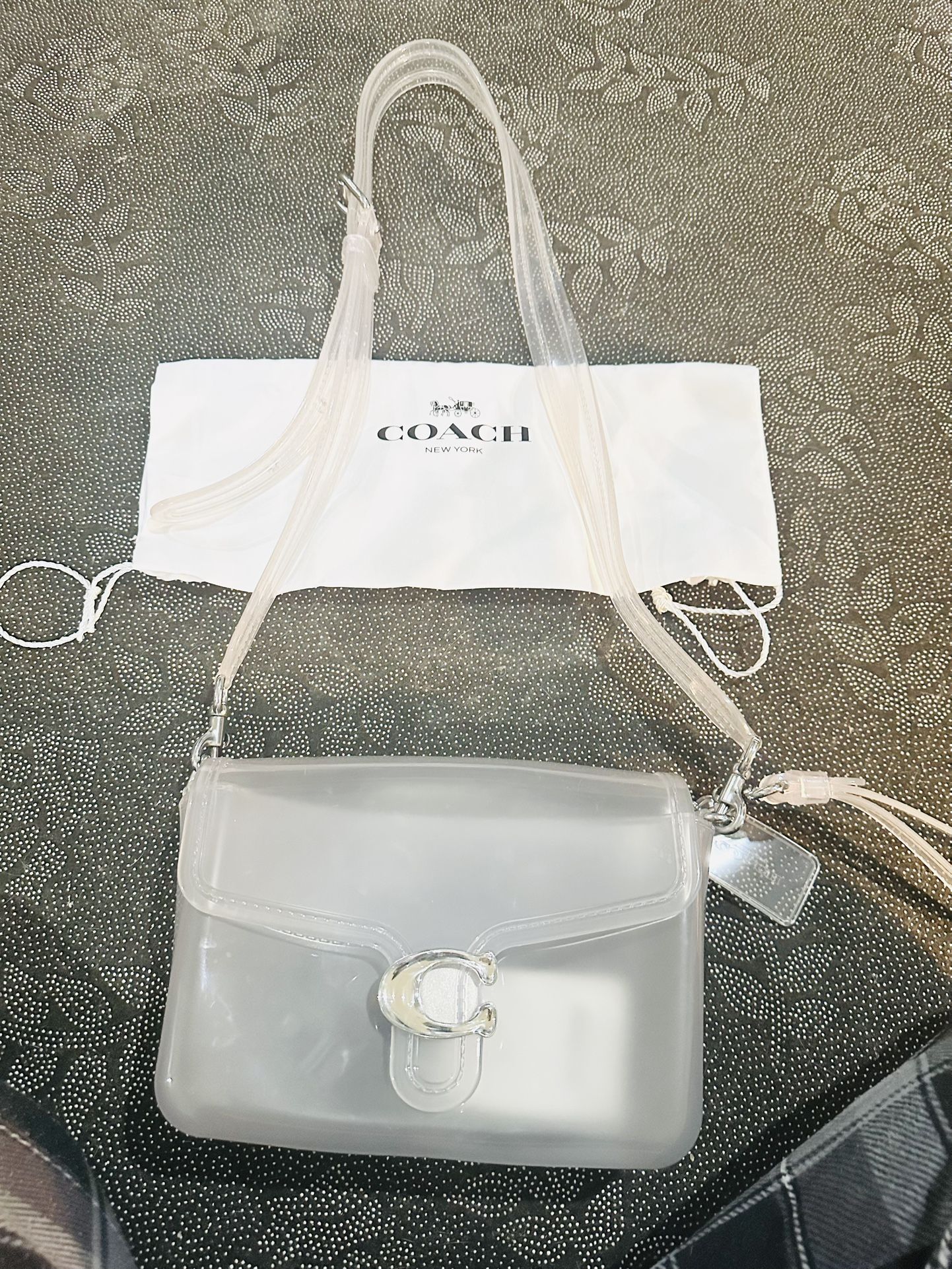 Coach Bag Clear