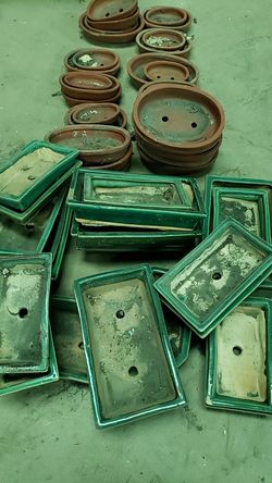 Pots para suculentas