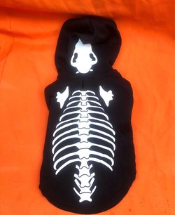 Dog Costume medium