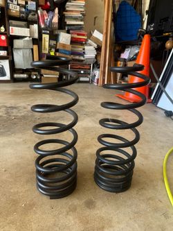 Old Man EMU COILS