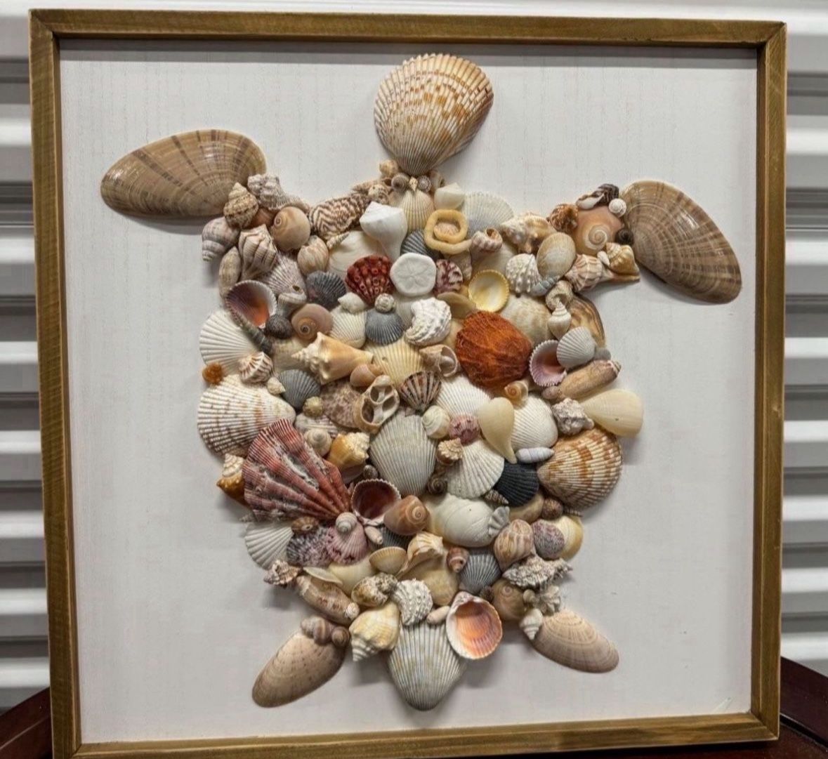 Brand New Custom Turtle Seashell Wall Art