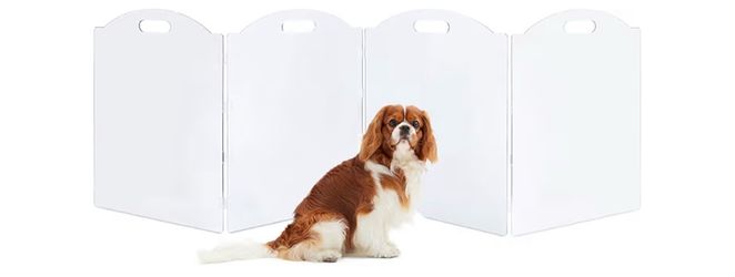 Clear Acrylic Pet Gate. 4 Panels. 24” height. 80” total length. New inbox. Henderson Location.