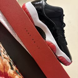 Jordan  11 bred low