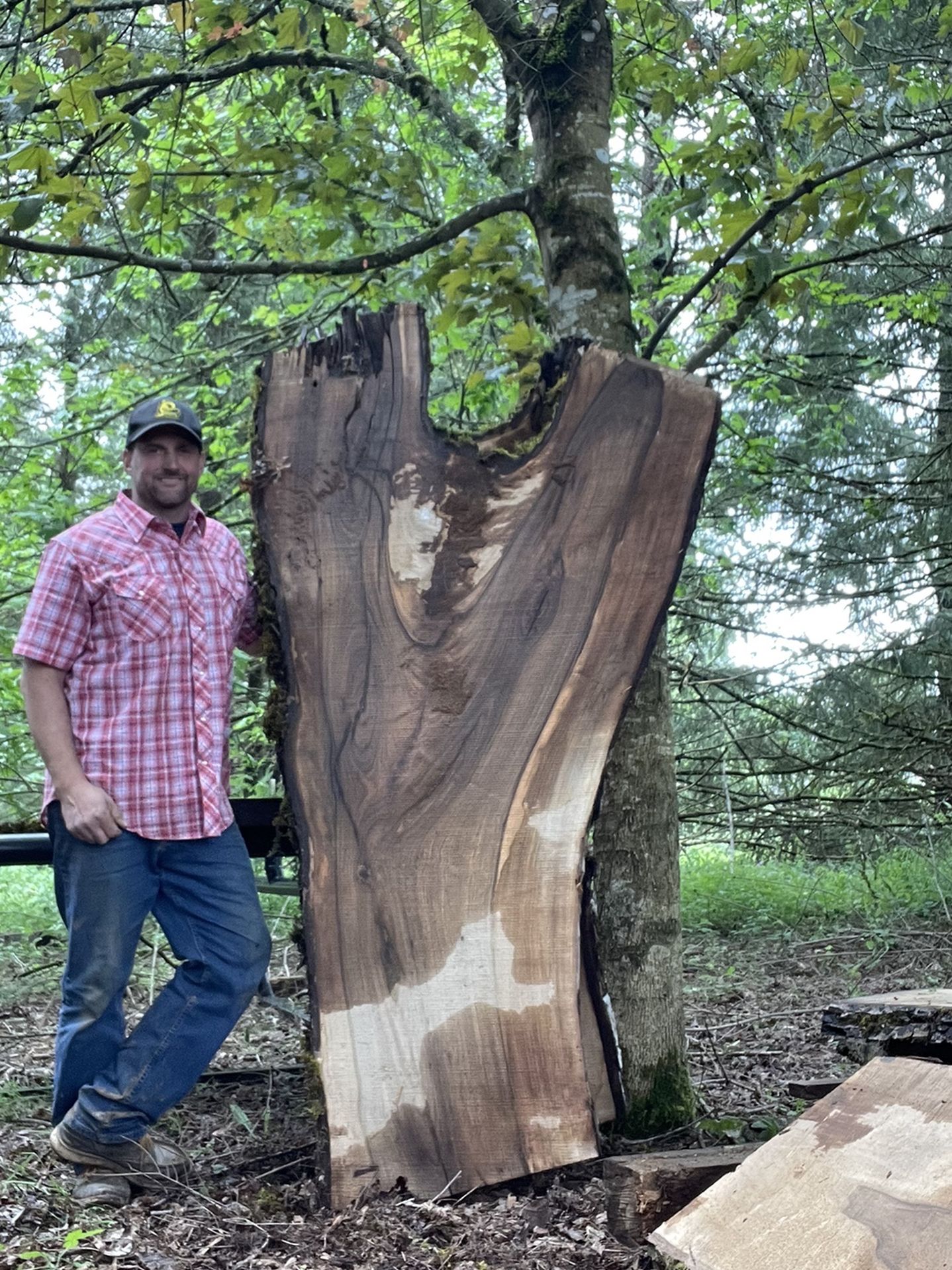 Beautiful English Walnut Slabs And Other Stuff Too!