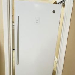 Frizzed Vertical Nuevo