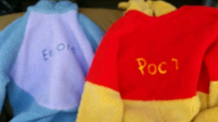 Disney costumes, Pooh and Eyeore