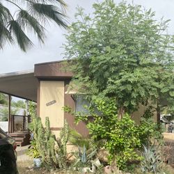 Manufactured Home