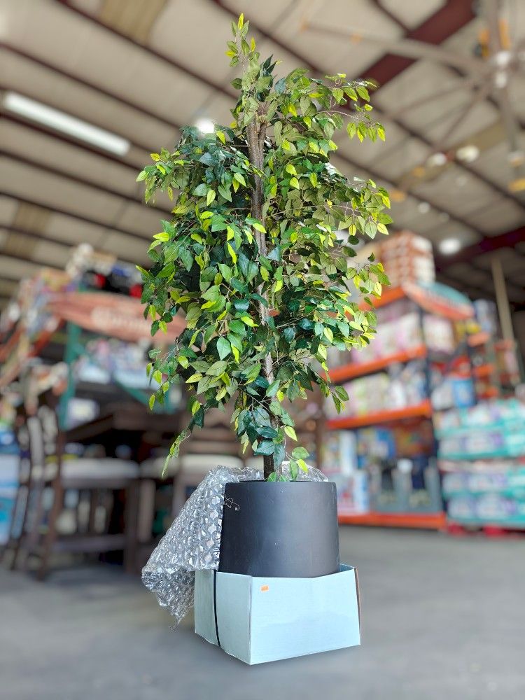 Artificial 7.5' Ficus Tree in Classic Black Ceramic Pot