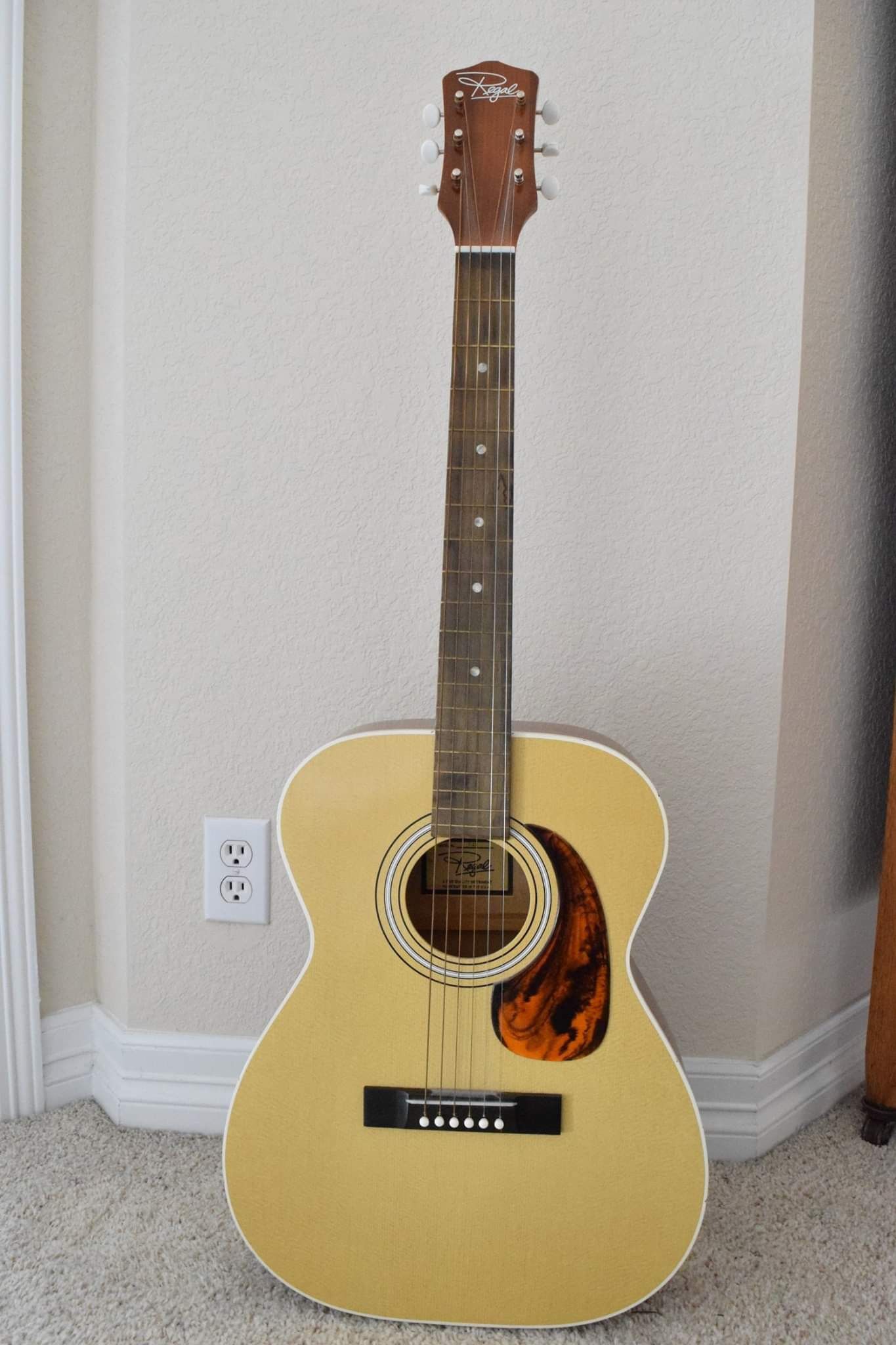 Regal T-13 Acoustic Guitar 1970-1980