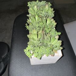 Decor Artificial Plant 