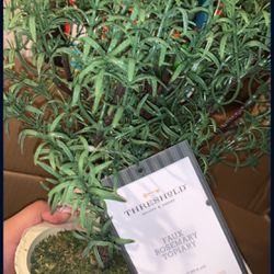 rosemary topiary fake plant 🪴 