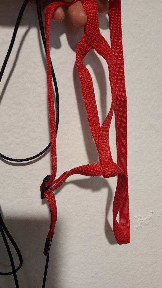 Bird Harness - Adjustable - Small -Parrot