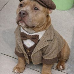 🔥 Ryzen 5 AM5 5060 8GB DDR5 16gb Gaming Computer Micro ITX Build