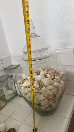 Vase shells decoration