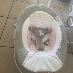 Baby Bouncer 