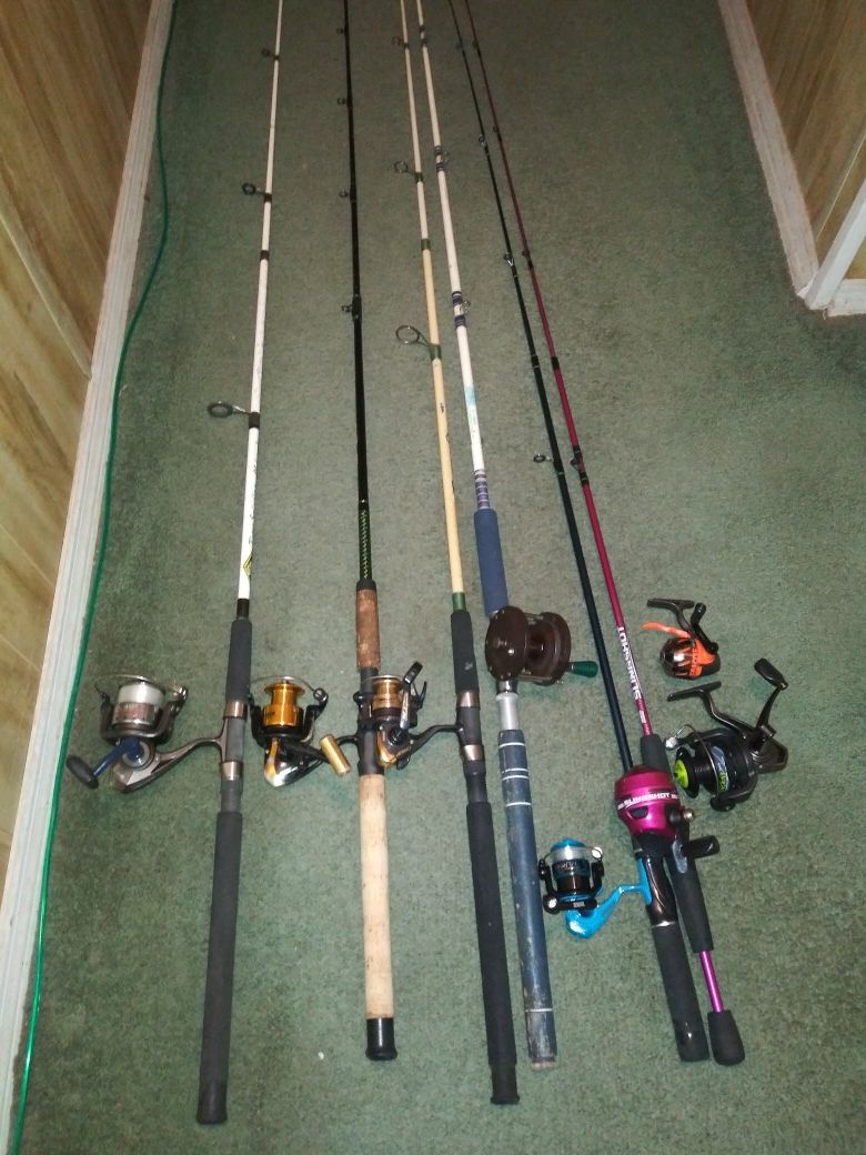 Fish rod & reels