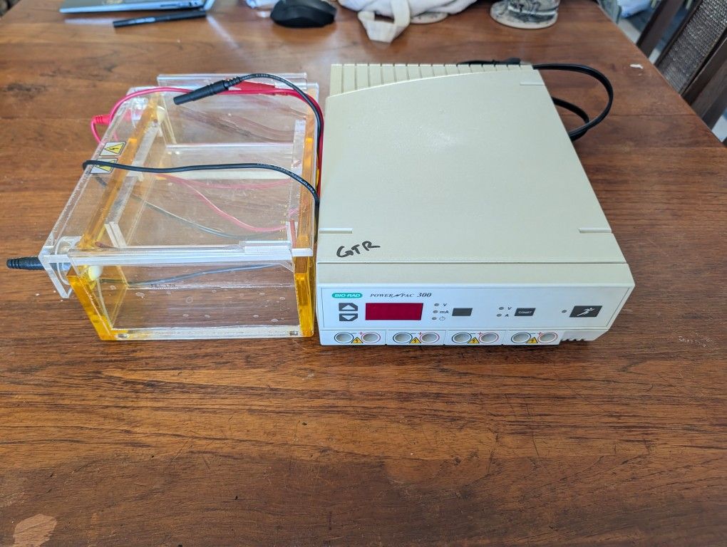 Gel Electrophoresis + Power Supply