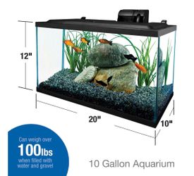 Aquarium, 10 gallon