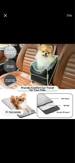 Doggy car seat