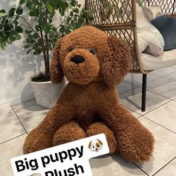Big Puppy 🐶 Plush 