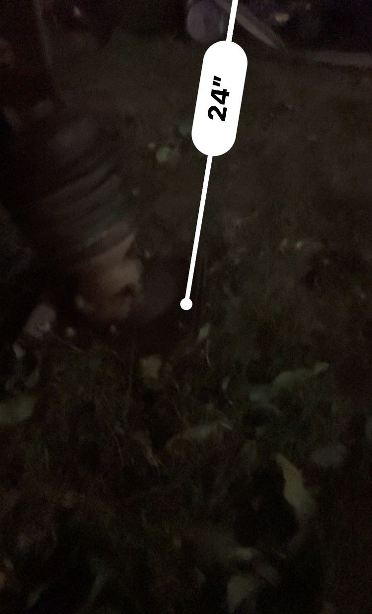 Impact or / Jumping Jack/wacker