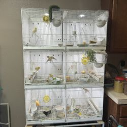 Breeding cage 