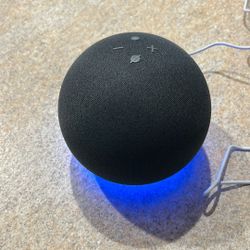 Amazon Echo Dot