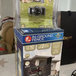 In Ground Fence For Dogs 