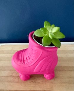 Roller Skate Succulent Planter