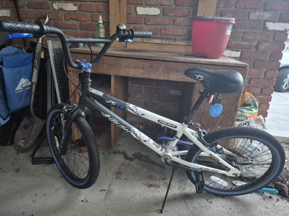 20 In Boys Bike