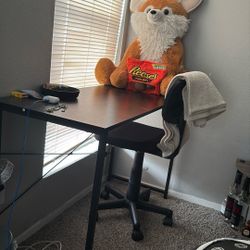 Desk And Chair
