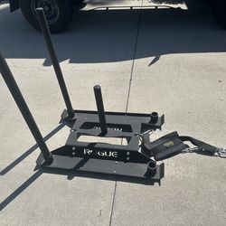 Rogue echo dog sled