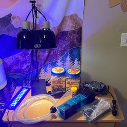 Turtle/tank supplies