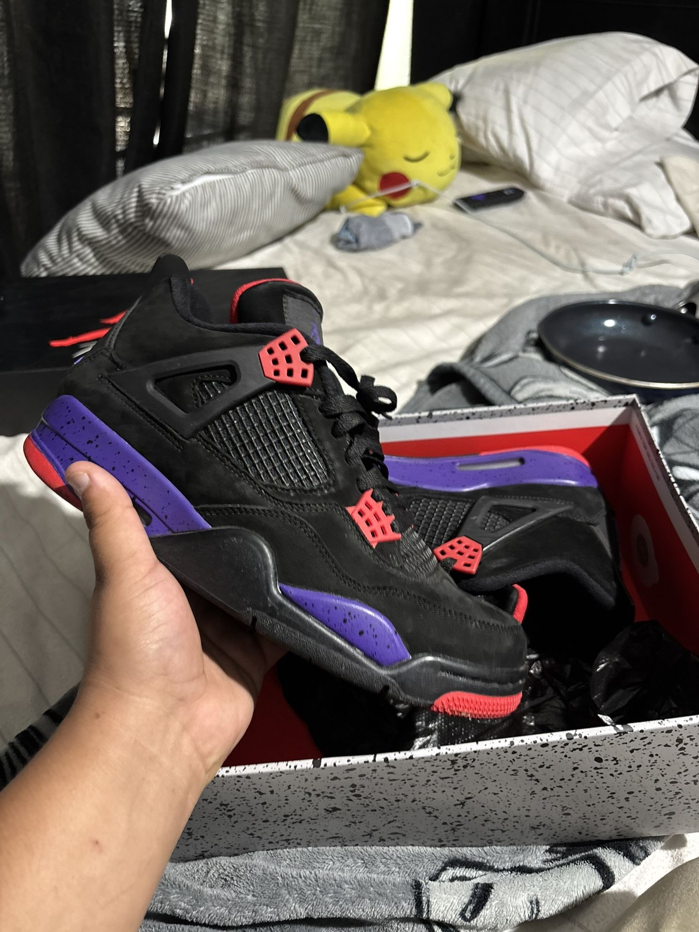 Jordan 4 Raptor