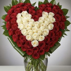 Rosas Roses Flower Flores